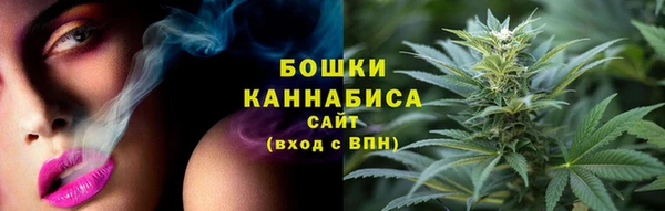 тгк Пересвет