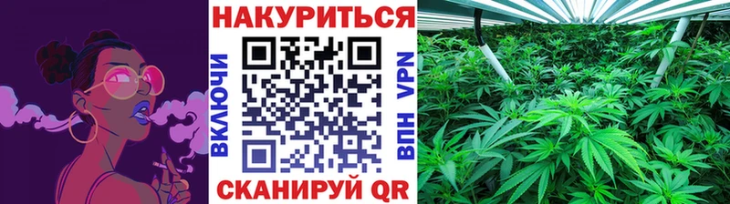 Бошки марихуана индика  МЕГА   Вилючинск 